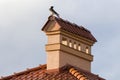 Close-up view of bird sitting on top of high plastered chimney of new big spacious modern house with shingled red roof against bri Royalty Free Stock Photo