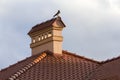 Close-up view of bird sitting on top of high plastered chimney o Royalty Free Stock Photo