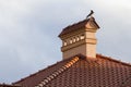 Close-up view of bird sitting on top of high plastered chimney o Royalty Free Stock Photo