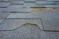 Close up view of bitumen shingles roof damage that needs repair.