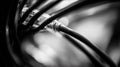 Close up view of black network cables in a technology setup showing connections and structures at a workspace Royalty Free Stock Photo