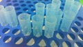 Close up view of blue micro litre tips in microtip box with empty holes Royalty Free Stock Photo