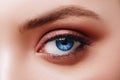 Close up view of blue woman eye with beautiful golden shades and black eyeliner makeup. Royalty Free Stock Photo