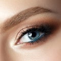 Close up view of blue woman eye with beautiful makeup Royalty Free Stock Photo