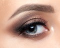 Close up view of blue woman eye with beautiful makeup Royalty Free Stock Photo