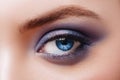 Close up view of blue woman eye with beautiful shades and black eyeliner makeup. Royalty Free Stock Photo