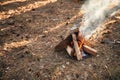 Close up view of bonfire on the ground outdoors Royalty Free Stock Photo