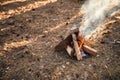 Close up view of bonfire on the ground outdoors