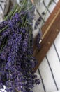 Bouquet of lavender flowers and an incense stick burning Royalty Free Stock Photo