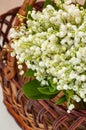 Close-up view of Bouquet of lilies of the valley in a basket