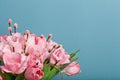 Close-up view of bouquet of pink fresh tulips with pussy-willow