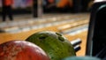 Close-up view of bowling player hand taking colorful ball from bowl lift. Media. People playing bowling - the bowling
