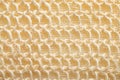 Close up view of braided string bath sponge texture. Royalty Free Stock Photo