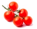 Close-up view branch of fresh red cherry tomatoes with green leaves isolated on white background Royalty Free Stock Photo