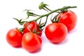 Close-up view branch of fresh red cherry tomatoes with green leaves isolated on white background Royalty Free Stock Photo