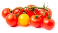 Close-up view branch of fresh red and yellow cherry tomatoes with green leaves isolated on white Royalty Free Stock Photo