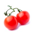 Close-up view branch of two fresh red cherry tomatoes with green leaves isolated on white background. Royalty Free Stock Photo