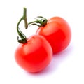 Close-up view branch of two fresh red cherry tomatoes with green leaves isolated on white background Royalty Free Stock Photo