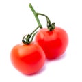 Close-up view branch of two fresh red cherry tomatoes with green leaves isolated on white background Royalty Free Stock Photo