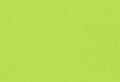 Close up view of bright green coloured creative paper background.