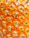 Close-up of a ripe pineapple peel. Macro Royalty Free Stock Photo