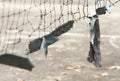 Close-up view of a broken volleyball net Royalty Free Stock Photo