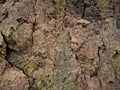 Close up view of the brown surface texture of the ground on a cliff with cracks Royalty Free Stock Photo