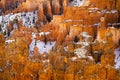 Close up view of bryce canyon national park hoodoos in winter in souther utah usa showing oranges and whites during the day