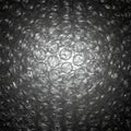 A close-up view of bubble wrap, displaying rows of transparent, air-filled bubbles. The Royalty Free Stock Photo