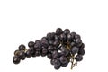 Close up view of bunch of black grapes isolated on white background Royalty Free Stock Photo