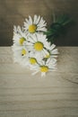 A bunch of blooming daisies on rustic wooden background Royalty Free Stock Photo