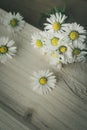 A bunch of blooming daisies on rustic wooden background Royalty Free Stock Photo