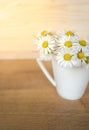 Bunch of blooming daisies on rustic wooden background Royalty Free Stock Photo