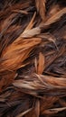 a close up view of a bunch of brown feathers