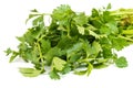 Close up view of bunch of fresh green parsley on white background Royalty Free Stock Photo