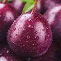 a close up view of a bunch of plums with water droplets Royalty Free Stock Photo