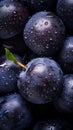 a close up view of a bunch of plums with water droplets Royalty Free Stock Photo