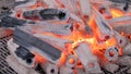 Close up view of burning charcoal on grill - slow motion