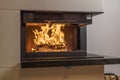 Close up view of burning wood in modern fireplace  in living room. Royalty Free Stock Photo