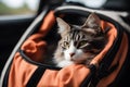 Cat comfortably resting in a travel carrier during a road trip, illustrating stress-free animal transport