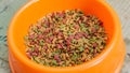 Close up view of cat diet food in a orange bowl