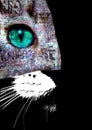 Close up view of cat with green eyes. Cut portrait. Pets and lifestyle concept Royalty Free Stock Photo