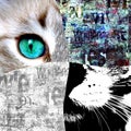 Close up view of cat with green eyes. Cut portrait. Pets and lifestyle concept Royalty Free Stock Photo