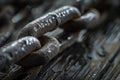Close-up of a Rusty Chain Royalty Free Stock Photo