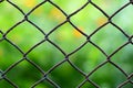 Close-up view of a chain link fence with mowed green field blurred into background. Royalty Free Stock Photo