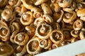 Close up view champignons Royalty Free Stock Photo