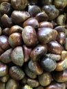 Close up view of chestnuts at a market