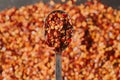 Close up view of chili flakes on wooden spoon. Dried chili flakes as background. Close up view of crushed red cayenne pepper. Royalty Free Stock Photo