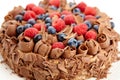 Close up chocolate cake with wild berries