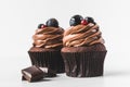 Close up view of chocolate cupcakes with cream, grape, berries and pieces of chocolate Royalty Free Stock Photo